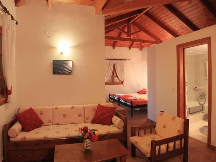 Archontiko Villas Alikész Kültér fotó